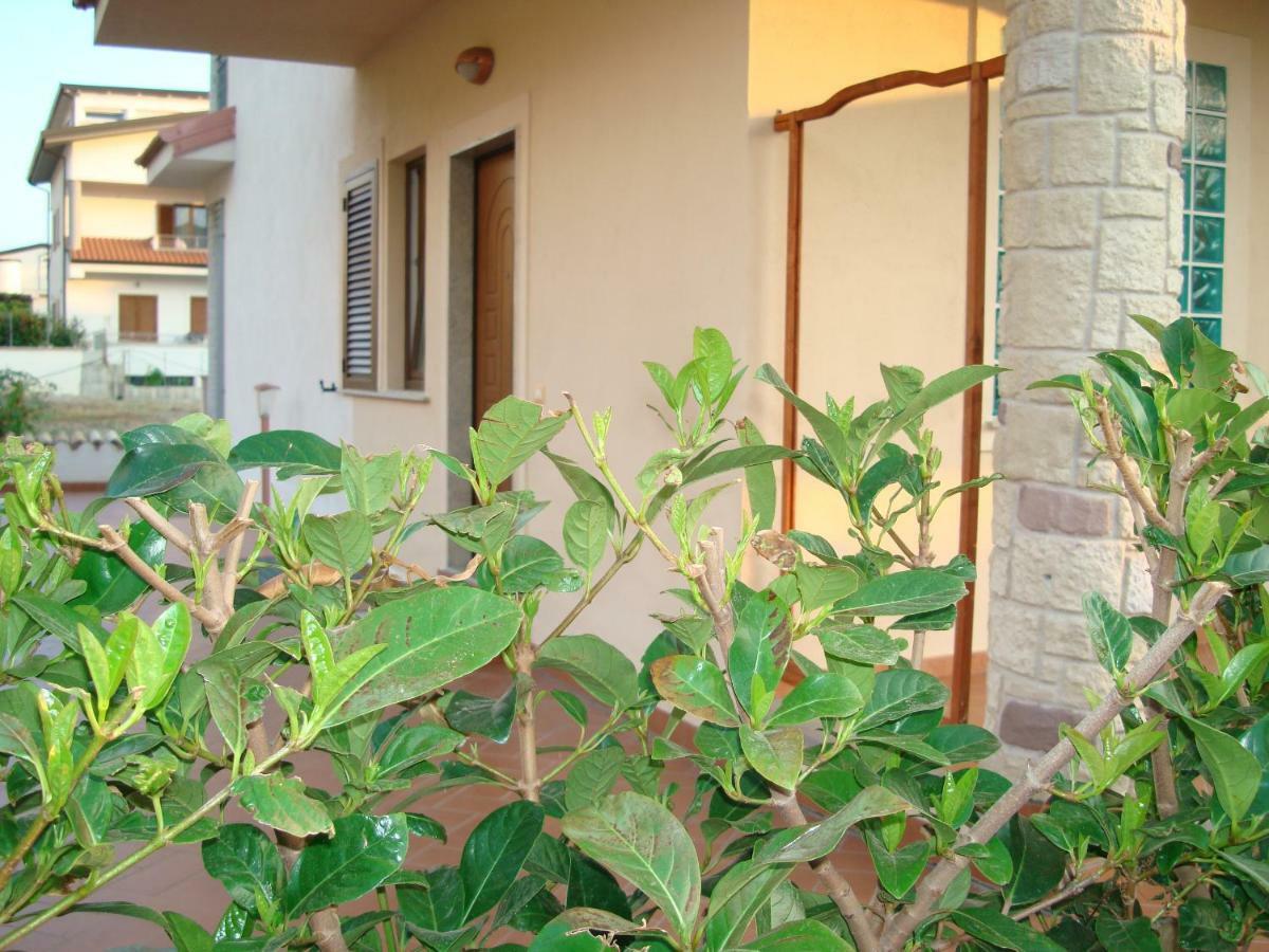 Guest House Mare E Luna Fiumefreddo Bruzio Exteriér fotografie